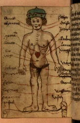 Stjernetegn som viser posisjonen til hjertet, fra en samling av bønner og astrologiske figurer