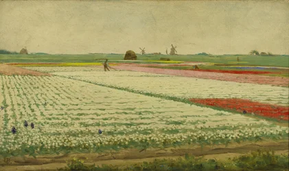 Tulipanmarker