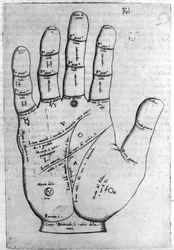 Chiromanti og spådomsprediksjon: representasjon av de forskjellige linjene i hånden som tillater tolkning av personligheten. Gravering fra "" De magia"" av Giambattista della Porta (1537? -1615) 1589
