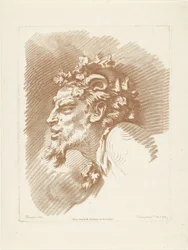 Hode for satyr