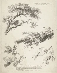 Studie av greiner med blader 1er Cahier de paysage (serietittel)