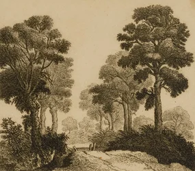 Landskap