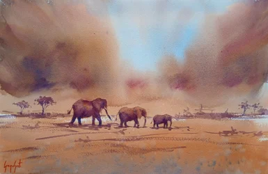 Afrikansk elefants reise