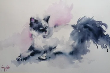 Katt med blå øyne i akvarell