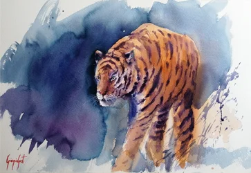 Den majestetiske tigerskritten
