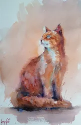 Oransje akvarellkatt