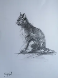 Den årvåkne kullfargede katten