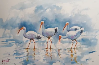 Refleksjoner om den hvite ibis