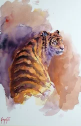 tiger 6