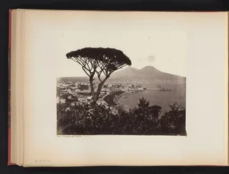 Utsikt over Napoli, Italia, med et furutre i forgrunnen Panorama-dalen Vomero Napoli (tittel på objekt)