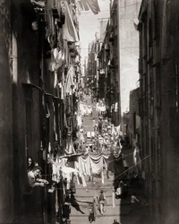 Gatebilde, Napoli, Italia