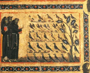 Historier om St. Frans: St. Frans som forkynner for fugler, freskomaleri av Giotto (1267-1337), ca 1325. Bardi-kapellet i Vernio, basilikaen Santa Croce, Firenze. Italia