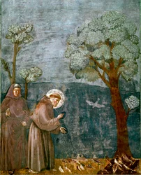 Episode av livet til Saint Francois av Assisi (San Francesco): "" Forutsigelsen av fugler""" Fresco av Giotto (Ambrogio di Bondone