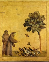 Saint Francois av Assisi som forkynner fugler. Detalj av predellen til St. Frans av Assisi som mottar stigmaene. Maleri av Giotto Di Bondone