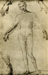 Modellstudie for en jomfru Maria som mater misericordiae