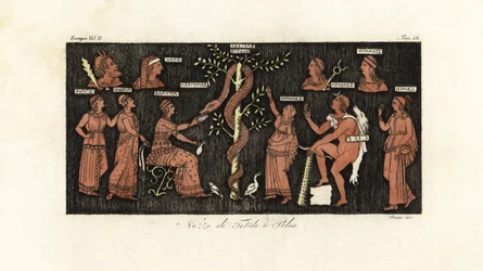 Herakles på sitt 11. arbeid, tok gullepler fra Hesperides hage voktet av slangen Ladon