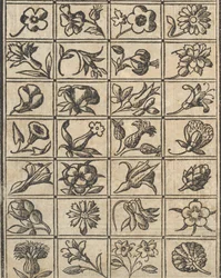 Eksempel på recammi, side 10 verso, 1530.