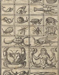 Eksempel på recammi, side 11 recto, 1530.