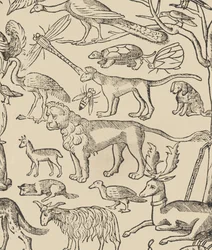 Eksempel på recammi, side 13 recto, 1530.