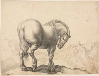 Studie av en hingst, første tredje 1700-tall.