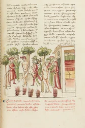 Decameron, Den unge fangen - Restituta Bolgaro og Giari di Procida i gapestokken, Femte dag, novelle 6.