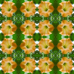 Unaturlig 171.1 (digitalt manipulert bilde)