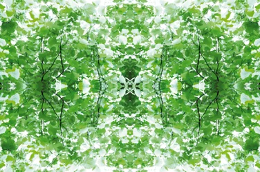 Unaturlig 34 (digitalt manipulert bilde)