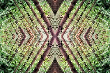 Unaturlig 37 (digitalt manipulert bilde)