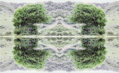 Unaturlig 40 (digitalt manipulert bilde)