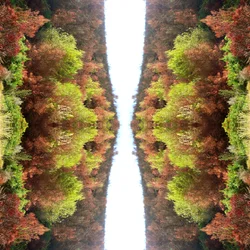 Unaturlig 77 (digitalt manipulert bilde)