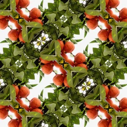 Unaturlig 79 (digitalt manipulert bilde)