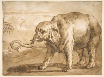 Elefant i et landskap