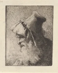 Profil av en eldre mann med skjegg, fra Raccolta di Teste (Samling av hoder)