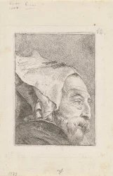 Profil av en gammel mann, fra Raccolta di Teste (Samling av hoder)