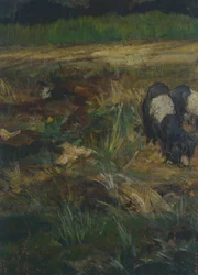 Toskanske Maremma, detalj (olje på lerret)