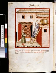 Theatrum sanitatis av Ububchasym de Baldach: #39;Acetum#39;, første tiår av 1300-tallet (miniatyr)