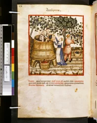 Theatrum sanitatis av Ububchasym de Baldach: #39;Autupnus#39;, første tiår av 1300-tallet (miniatyr)