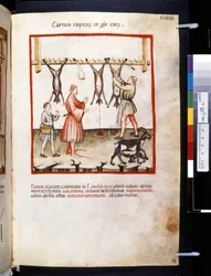 Theatrum sanitatis av Ububchasym de Baldach: #39;Carnes Caprarum et Pulpe Edorum#39;, første tiår av 1300-tallet (miniatyr)