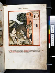 Theatrum sanitatis av Ububchasym de Baldach: #39;Panis Azimus#39;, første tiår av 1300-tallet (miniatyr)