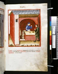 Theatrum sanitatis av Ububchasym de Baldach: #39;Rizon#39;, første tiår av 1300-tallet (miniatyr)