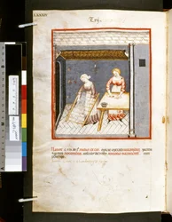 Theatrum sanitatis av Ububchasym de Baldach: #39;Trij#39;, første tiår av 1300-tallet (miniatyr)