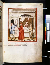 Theatrum sanitatis av Ububchasym de Baldach: #39;Ubera#39;, første tiår av 1300-tallet (miniatyr)