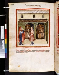 Theatrum sanitatis av Ububchasym de Baldach: #39;Vinum Vetus Odoriferum#39;, første tiår av 1300-tallet (miniatyr)