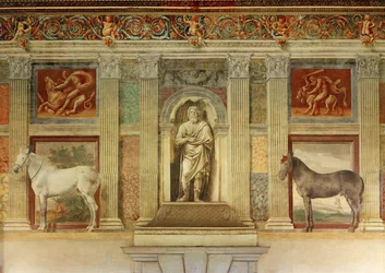 Sala grande dei cavalli, med fresker av Gonzagas yndlingshester … (freske)