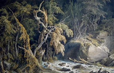 Steinete landskap med trær revet opp, av Giuseppe Pietro Bagetti (1764-1831).