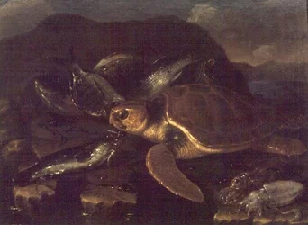 Stilleben med en fisk og en skilpadde
