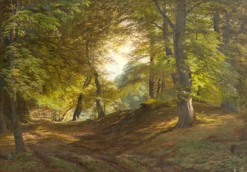 En skog nær Frederiksborg slott
