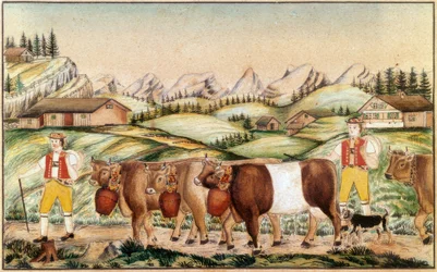 Alpin nedstigning