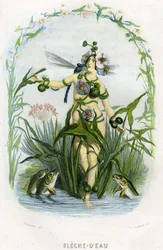 Illustrasjon for «Animerte blomster»