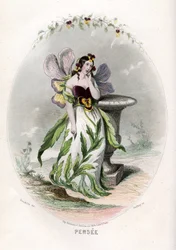 Illustrasjon for «Animerte blomster»